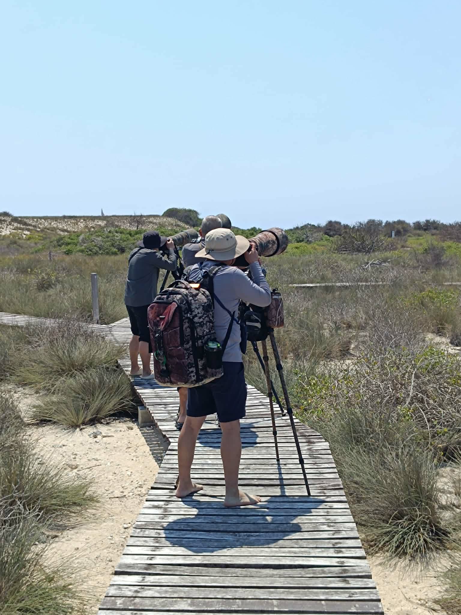 Birdwatching tour photography - Madagascar wildlife